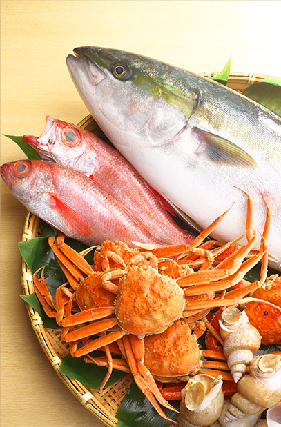 食材